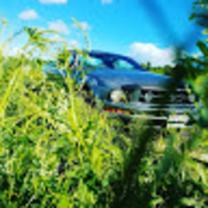 Meet your Posher, Austin